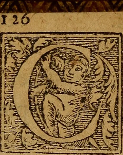 An illustration from Apologie ou defense de l'honorable sentence & tres-juste execution de defuncte Marie Steuard derniere Royne d'Ecosse : Enrichie de plusieurs exemples par comparaisons & diverses histoires d'empereurs, rois & papes ci devant aduenues : Auec les opinions d'hommes entendus en tel cas ... Ensemble aussi la response à certaines obiections ... Aprez la fin du liure sont adioustées les copies des lettres, actes & articles, qui servent à découuir & à bien verifier la trahison de ladite Royne d'Ecosse &c ..., 1588, leaf 143