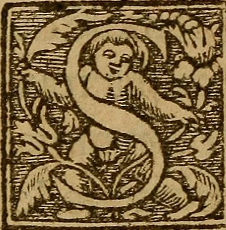 An illustration from Apologie ou defense de l'honorable sentence & tres-juste execution de defuncte Marie Steuard derniere Royne d'Ecosse : Enrichie de plusieurs exemples par comparaisons & diverses histoires d'empereurs, rois & papes ci devant aduenues : Auec les opinions d'hommes entendus en tel cas ... Ensemble aussi la response à certaines obiections ... Aprez la fin du liure sont adioustées les copies des lettres, actes & articles, qui servent à découuir & à bien verifier la trahison de ladite Royne d'Ecosse &c ..., 1588, leaf 217