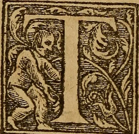 An illustration from Apologie ou defense de l'honorable sentence & tres-juste execution de defuncte Marie Steuard derniere Royne d'Ecosse : Enrichie de plusieurs exemples par comparaisons & diverses histoires d'empereurs, rois & papes ci devant aduenues : Auec les opinions d'hommes entendus en tel cas ... Ensemble aussi la response à certaines obiections ... Aprez la fin du liure sont adioustées les copies des lettres, actes & articles, qui servent à découuir & à bien verifier la trahison de ladite Royne d'Ecosse &c ..., 1588, leaf 221