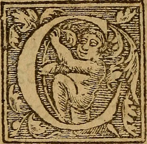 An illustration from Apologie ou defense de l'honorable sentence & tres-juste execution de defuncte Marie Steuard derniere Royne d'Ecosse : Enrichie de plusieurs exemples par comparaisons & diverses histoires d'empereurs, rois & papes ci devant aduenues : Auec les opinions d'hommes entendus en tel cas ... Ensemble aussi la response à certaines obiections ... Aprez la fin du liure sont adioustées les copies des lettres, actes & articles, qui servent à découuir & à bien verifier la trahison de ladite Royne d'Ecosse &c ..., 1588, leaf 223