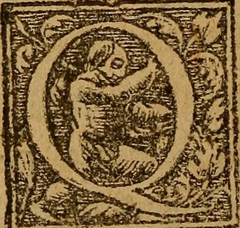 An illustration from Apologie ou defense de l'honorable sentence & tres-juste execution de defuncte Marie Steuard derniere Royne d'Ecosse : Enrichie de plusieurs exemples par comparaisons & diverses histoires d'empereurs, rois & papes ci devant aduenues : Auec les opinions d'hommes entendus en tel cas ... Ensemble aussi la response à certaines obiections ... Aprez la fin du liure sont adioustées les copies des lettres, actes & articles, qui servent à découuir & à bien verifier la trahison de ladite Royne d'Ecosse &c ..., 1588, leaf 233