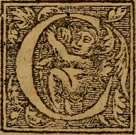 An illustration from Apologie ou defense de l'honorable sentence & tres-juste execution de defuncte Marie Steuard derniere Royne d'Ecosse : Enrichie de plusieurs exemples par comparaisons & diverses histoires d'empereurs, rois & papes ci devant aduenues : Auec les opinions d'hommes entendus en tel cas ... Ensemble aussi la response à certaines obiections ... Aprez la fin du liure sont adioustées les copies des lettres, actes & articles, qui servent à découuir & à bien verifier la trahison de ladite Royne d'Ecosse &c ..., 1588, leaf 271