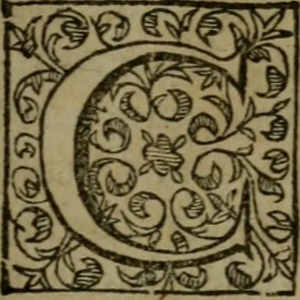 An illustration from Apologie povr Iehan Chastel Parisien, execvte a morte : et povr les peres & escholliers, de la Societé de Iesvs, bannis du royaume de France. Contre l'arrest de Parlement, donné contre eux a Paris, le 29. Decembre, 1594. Diuisée en cinq parties, 1595, leaf 12