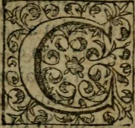 An illustration from Apologie povr Iehan Chastel Parisien, execvte a morte : et povr les peres & escholliers, de la Societé de Iesvs, bannis du royaume de France. Contre l'arrest de Parlement, donné contre eux a Paris, le 29. Decembre, 1594. Diuisée en cinq parties, 1595, leaf 126