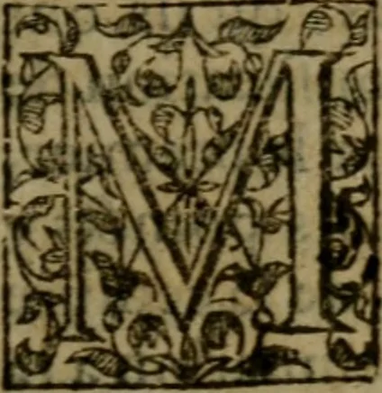 An illustration from Apologie povr Iehan Chastel Parisien, execvte a morte : et povr les peres & escholliers, de la Societé de Iesvs, bannis du royaume de France. Contre l'arrest de Parlement, donné contre eux a Paris, le 29. Decembre, 1594. Diuisée en cinq parties, 1595, leaf 156
