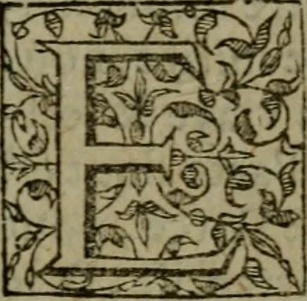 An illustration from Apologie povr Iehan Chastel Parisien, execvte a morte : et povr les peres & escholliers, de la Societé de Iesvs, bannis du royaume de France. Contre l'arrest de Parlement, donné contre eux a Paris, le 29. Decembre, 1594. Diuisée en cinq parties, 1595, leaf 36