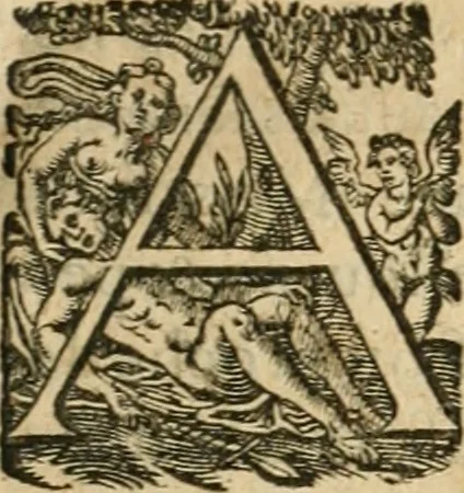 An illustration from Apologie povr tovs les grands personnages qui ont esté faussement soupçonnez de magie, 1625, leaf 14