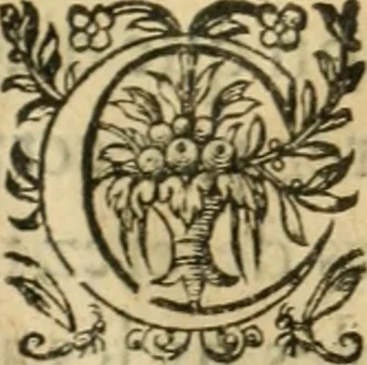 An illustration from Apologie povr tovs les grands personnages qui ont esté faussement soupçonnez de magie, 1625, leaf 160