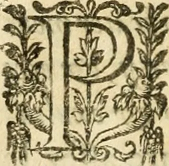 An illustration from Apologie povr tovs les grands personnages qui ont esté faussement soupçonnez de magie, 1625, leaf 197