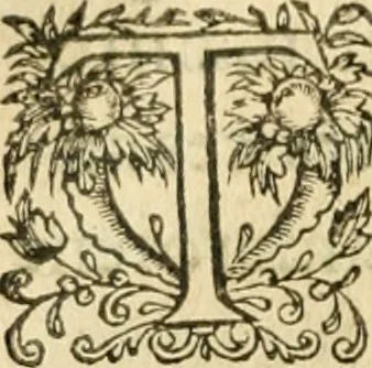 An illustration from Apologie povr tovs les grands personnages qui ont esté faussement soupçonnez de magie, 1625, leaf 275