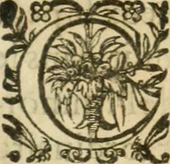 An illustration from Apologie povr tovs les grands personnages qui ont esté faussement soupçonnez de magie, 1625, leaf 334