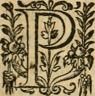 An illustration from Apologie povr tovs les grands personnages qui ont esté faussement soupçonnez de magie, 1625, leaf 52