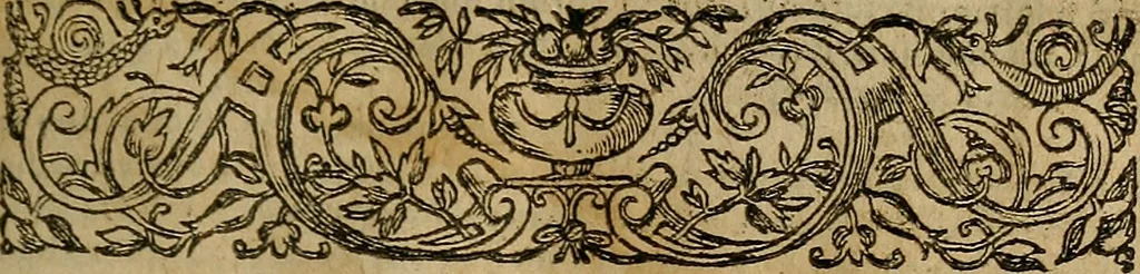 An illustration from Apophthegmata ex probatis Graecæ Latinaéque linguæ scriptoribus, 1609, leaf 24