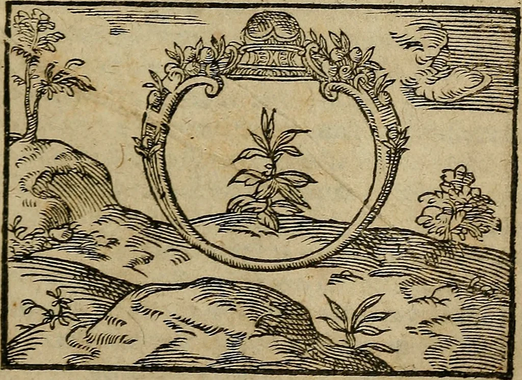 An illustration from Apophthegmata ex probatis Graecæ Latinaéque linguæ scriptoribus, 1609, leaf 792