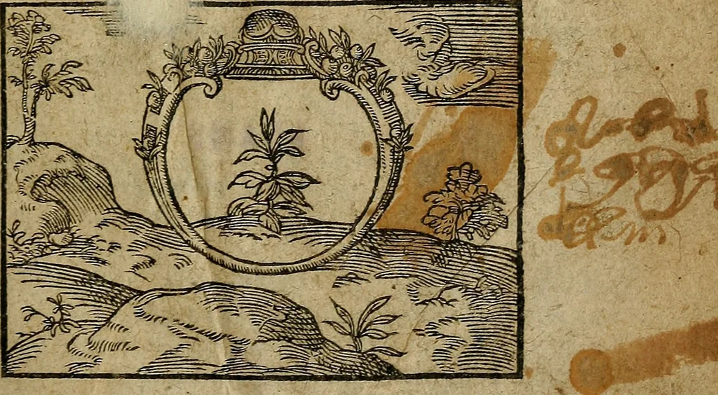 An illustration from Apophthegmata ex probatis Graecæ Latinaéque linguæ scriptoribus, 1609, leaf 8