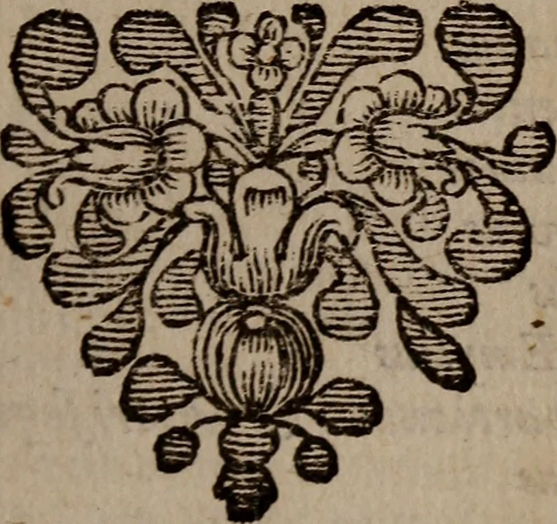An illustration from Apophthegmatum, Ex optimis utriusque Linguae Scriptoribus collectorum, Libri Octo, 1671, leaf 28