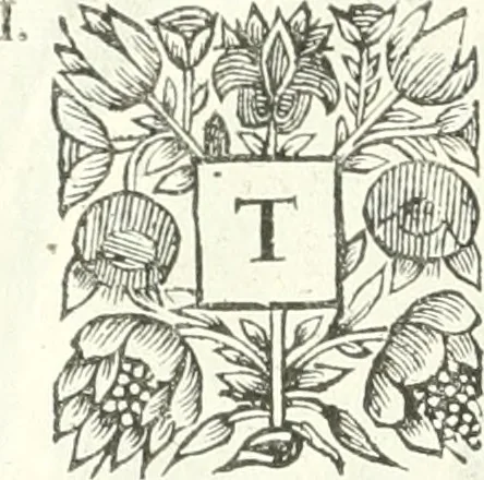 An illustration from Apostolici : or the history of the lives, acts, death and martyrdoms of those who were contemporary with, or immediately succeeded the Apostles : as also the most eminent of the Primitive Fathers for the first three hundred years to which is added, a chronology of the three first ages of the church, 1682, leaf 127
