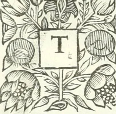 An illustration from Apostolici : or the history of the lives, acts, death and martyrdoms of those who were contemporary with, or immediately succeeded the Apostles : as also the most eminent of the Primitive Fathers for the first three hundred years to which is added, a chronology of the three first ages of the church, 1682, leaf 257
