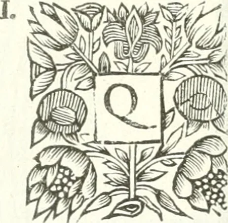 An illustration from Apostolici : or the history of the lives, acts, death and martyrdoms of those who were contemporary with, or immediately succeeded the Apostles : as also the most eminent of the Primitive Fathers for the first three hundred years to which is added, a chronology of the three first ages of the church, 1682, leaf 273