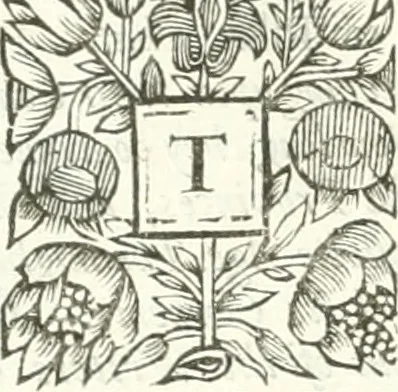 An illustration from Apostolici : or the history of the lives, acts, death and martyrdoms of those who were contemporary with, or immediately succeeded the Apostles : as also the most eminent of the Primitive Fathers for the first three hundred years to which is added, a chronology of the three first ages of the church, 1682, leaf 41
