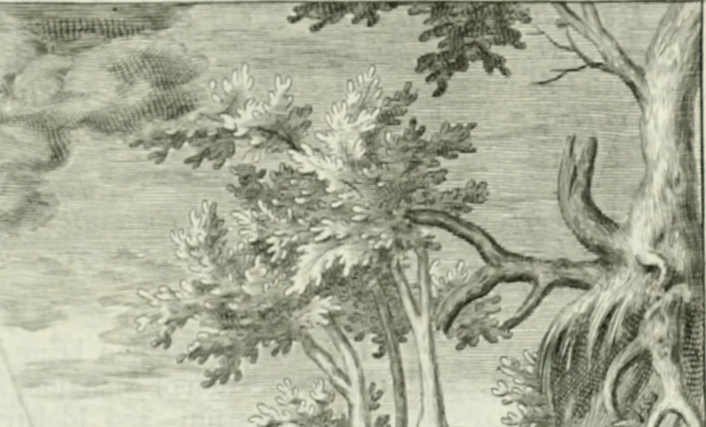 An illustration from Apostolici : or the history of the lives, acts, death and martyrdoms of those who were contemporary with, or immediately succeeded the Apostles : as also the most eminent of the Primitive Fathers for the first three hundred years to which is added, a chronology of the three first ages of the church, 1682, leaf 72