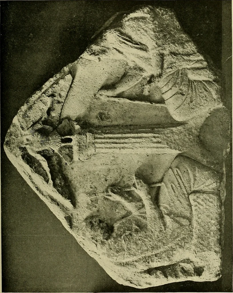 An illustration from Apotheosis and after life;, 1916, leaf 214