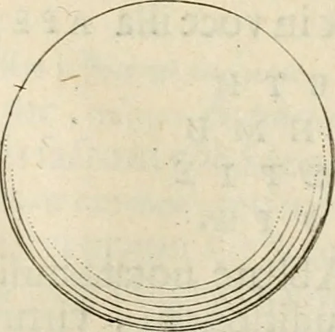 An illustration from Apotheosis vel consecratio Homeri, sive, Lapis antiquissimus in quo poëtarum principis Homeri consecratio sculpta est, 1683, leaf 228