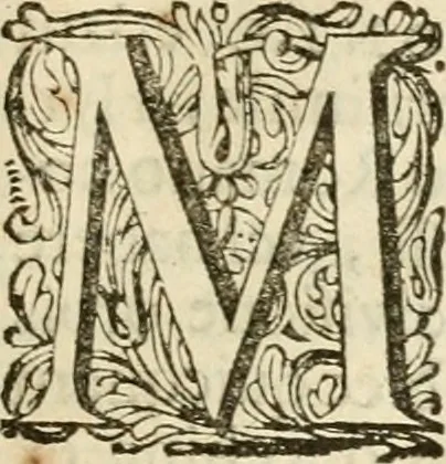 An illustration from Apotheosis vel consecratio Homeri, sive, Lapis antiquissimus in quo poëtarum principis Homeri consecratio sculpta est, 1683, leaf 256