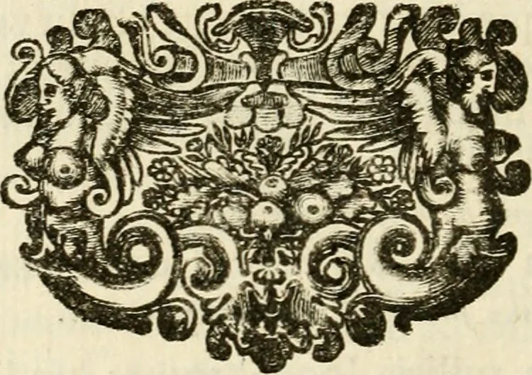 An illustration from Apotheosis vel consecratio Homeri, sive, Lapis antiquissimus in quo poëtarum principis Homeri consecratio sculpta est, 1683, leaf 341