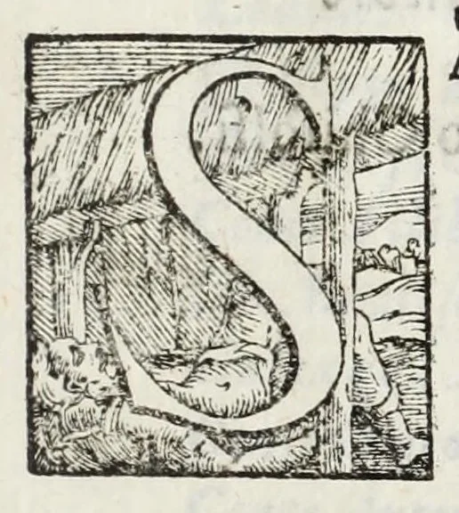 An illustration from Apparati e solennità dell'ingresso in Milano dell'emin.mo e reuer.mo sig.re cardinale, arciuescovo Cesare Monti alli 29. d'aprile dell'anno 1635, 1635, leaf 7