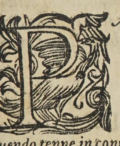 An illustration from Apparato all'historia di tutte le nationi. Et il modo di studiare la geografia., 1598, leaf 303