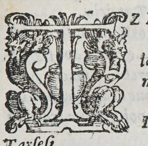 An illustration from Apparato all'historia di tutte le nationi. Et il modo di studiare la geografia., 1598, leaf 445