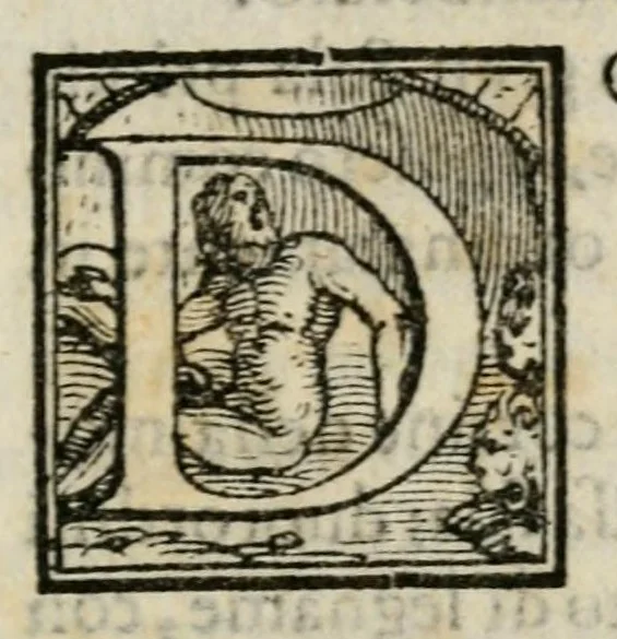 An illustration from Descrizione dell' apparato della comedia et intermedii d'essa, recitata in Firenze il giorno di S. Stefano l'anno 1565 nella gran sala del palazzo di Sua Eccellenza illust. nelle reali nozze dell'illustriss. & eccell. s. il s. don Francesco Medici principe di Fiorenza & di Siena, & della regina Giouanna d'Austria, figlia della felice memoria di Ferdinando imp., sua consorte, 1566, leaf 7