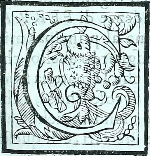 An illustration from Apparato de gli hvomini illvstri della città di Ferrara : i quali nelle lettere, & in altre nobili virtu fiorirono : diviso in tre parti, 1620, leaf 28