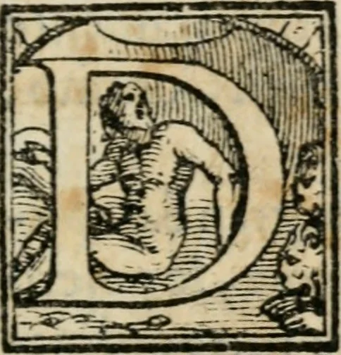 An illustration from Descrizione dell'apparato della comedia et intermedii d'essa : recitata in Firenze il giorno di S. Stefano l'anno 1565. nella gran sala del palazzo di Sua Ecc. illust. nelle reali nozze dell'illustriss. & eccell. s. il s. don Francesco Medici principe di Fiorenza & di Siena, & della regina Giouanna d'Austria, sua consorte, 1566, leaf 14