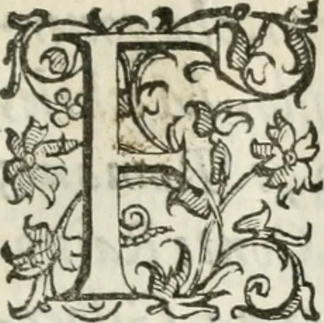 An illustration from Apparato della festività del glorioso S. Giouan Battista : fatto dal fedelissimo popolo napolitano à 23. di giugno 1624, all' Eccellenza del signor d. Antonio Alvarez di Toledo, duca d'Alba, vicere nel regno, 1624, leaf 10