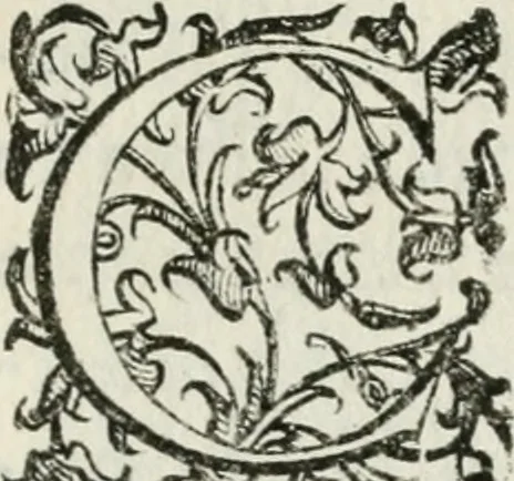 An illustration from Apparato della festività del glorioso S. Giouan Battista : fatto dal fedelissimo popolo napolitano à 23. di giugno 1624, all' Eccellenza del signor d. Antonio Alvarez di Toledo, duca d'Alba, vicere nel regno, 1624, leaf 6