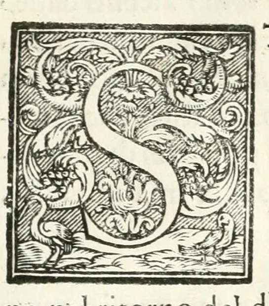 An illustration from Apparato fvnebre dell'anniversario à Gregorio XV : celebrato in Bologna à XXIV. di lvglio M. DC. XXIV dall'illustrissimo & reuerendiss. sig. cardinale Lvdovisi, 1624, leaf 11