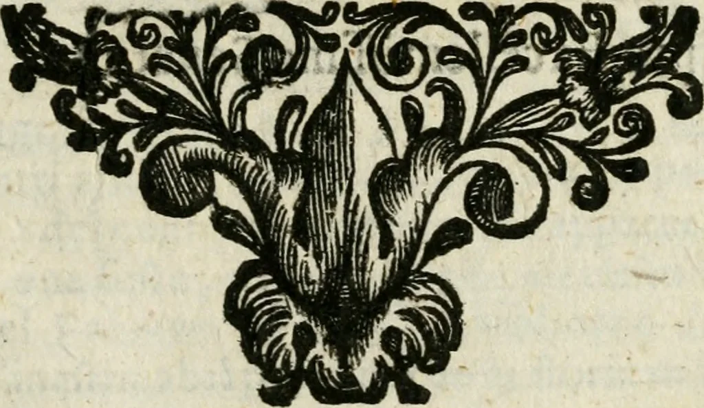 An illustration from Apparato solenne nel battesimo della ser.ma infanta d. Maria Evgenia : fatto con splendida pompa nella Capella Reale di S. M. a dì 7. di giugno del presente anno 1626, 1626, leaf 8
