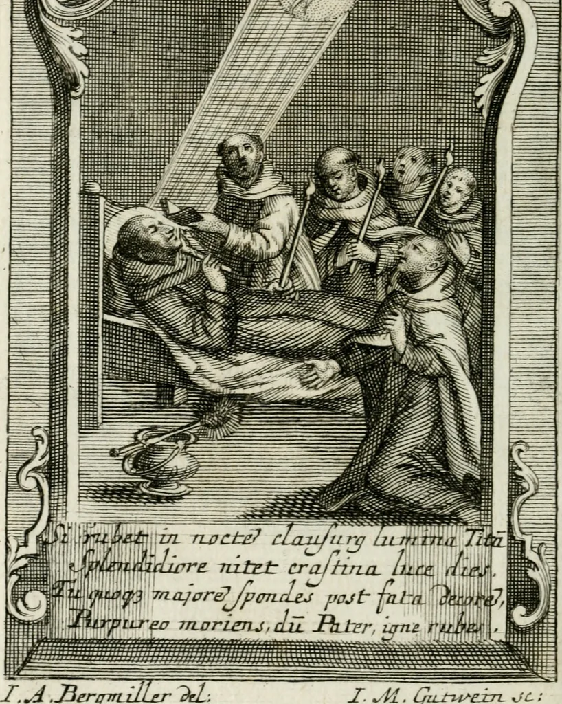 An illustration from Apparatus sacri honoris primo carmelitarum discalceatorum parenti seraphicæ virginis ac matris Theresiæ à Jesu filio primogenito S. Joanni à Cruce : post ejus solemnem in Vaticani colle apotheosin adornatus, a devotissimo filiorum suorum Collegio Augustano, 1727, leaf 101
