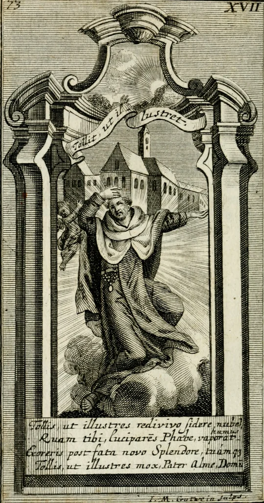 An illustration from Apparatus sacri honoris primo carmelitarum discalceatorum parenti seraphicæ virginis ac matris Theresiæ à Jesu filio primogenito S. Joanni à Cruce : post ejus solemnem in Vaticani colle apotheosin adornatus, a devotissimo filiorum suorum Collegio Augustano, 1727, leaf 113