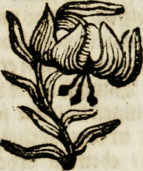An illustration from Apparatus sacri honoris primo carmelitarum discalceatorum parenti seraphicæ virginis ac matris Theresiæ à Jesu filio primogenito S. Joanni à Cruce : post ejus solemnem in Vaticani colle apotheosin adornatus, a devotissimo filiorum suorum Collegio Augustano, 1727, leaf 117