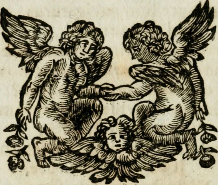 An illustration from Apparatus sacri honoris primo carmelitarum discalceatorum parenti seraphicæ virginis ac matris Theresiæ à Jesu filio primogenito S. Joanni à Cruce : post ejus solemnem in Vaticani colle apotheosin adornatus, a devotissimo filiorum suorum Collegio Augustano, 1727, leaf 19
