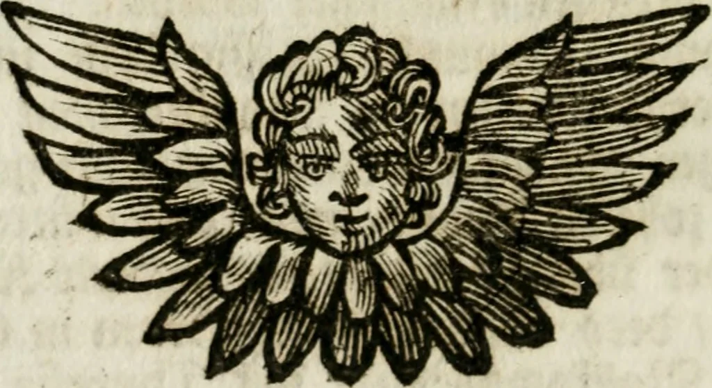 An illustration from Apparatus sacri honoris primo carmelitarum discalceatorum parenti seraphicæ virginis ac matris Theresiæ à Jesu filio primogenito S. Joanni à Cruce : post ejus solemnem in Vaticani colle apotheosin adornatus, a devotissimo filiorum suorum Collegio Augustano, 1727, leaf 21