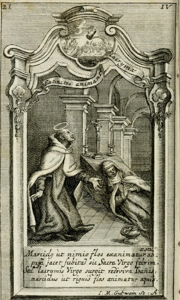 An illustration from Apparatus sacri honoris primo carmelitarum discalceatorum parenti seraphicæ virginis ac matris Theresiæ à Jesu filio primogenito S. Joanni à Cruce : post ejus solemnem in Vaticani colle apotheosin adornatus, a devotissimo filiorum suorum Collegio Augustano, 1727, leaf 35