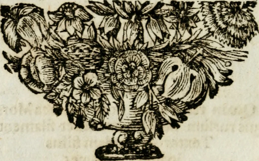 An illustration from Apparatus sacri honoris primo carmelitarum discalceatorum parenti seraphicæ virginis ac matris Theresiæ à Jesu filio primogenito S. Joanni à Cruce : post ejus solemnem in Vaticani colle apotheosin adornatus, a devotissimo filiorum suorum Collegio Augustano, 1727, leaf 37