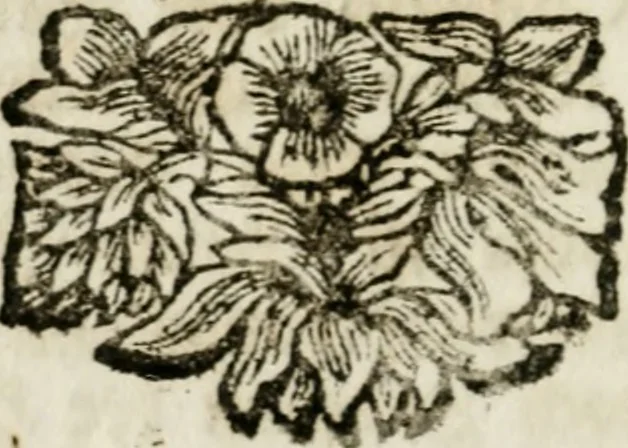 An illustration from Apparatus sacri honoris primo carmelitarum discalceatorum parenti seraphicæ virginis ac matris Theresiæ à Jesu filio primogenito S. Joanni à Cruce : post ejus solemnem in Vaticani colle apotheosin adornatus, a devotissimo filiorum suorum Collegio Augustano, 1727, leaf 39
