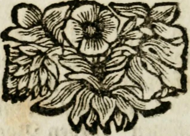 An illustration from Apparatus sacri honoris primo carmelitarum discalceatorum parenti seraphicæ virginis ac matris Theresiæ à Jesu filio primogenito S. Joanni à Cruce : post ejus solemnem in Vaticani colle apotheosin adornatus, a devotissimo filiorum suorum Collegio Augustano, 1727, leaf 75