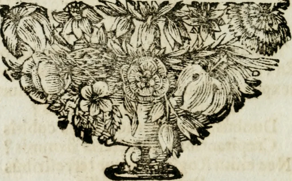 An illustration from Apparatus sacri honoris primo carmelitarum discalceatorum parenti seraphicæ virginis ac matris Theresiæ à Jesu filio primogenito S. Joanni à Cruce : post ejus solemnem in Vaticani colle apotheosin adornatus, a devotissimo filiorum suorum Collegio Augustano, 1727, leaf 85