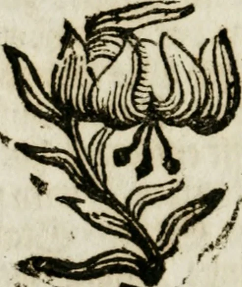 An illustration from Apparatus sacri honoris primo carmelitarum discalceatorum parenti seraphicæ virginis ac matris Theresiæ à Jesu filio primogenito S. Joanni à Cruce : post ejus solemnem in Vaticani colle apotheosin adornatus, a devotissimo filiorum suorum Collegio Augustano, 1727, leaf 87